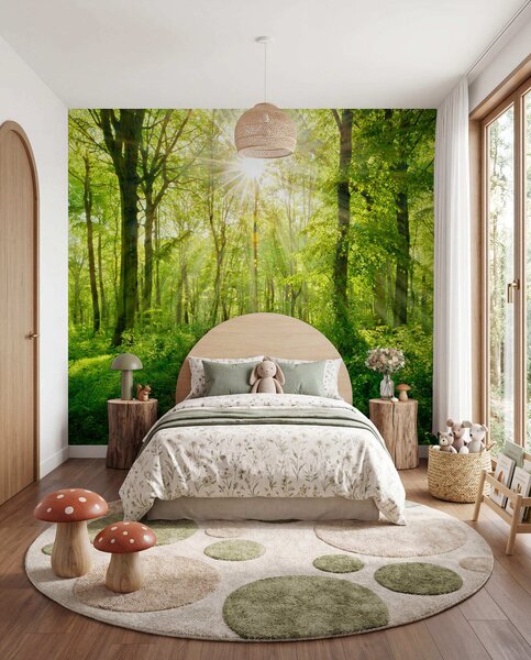 Carta da parati Percorso nella foresta soleggiata, Carta da parati Natura, u22252 : Uwalls.it