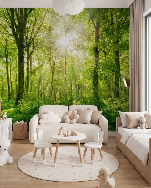 Carta da parati Percorso nella foresta soleggiata, Carta da parati Natura, u22252 : Uwalls.it