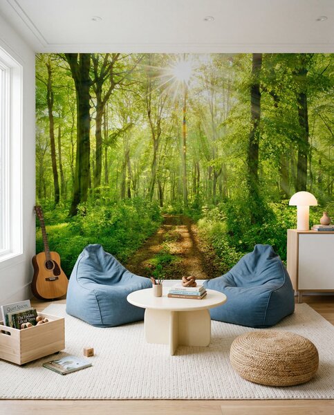 Carta da parati Percorso nella foresta soleggiata, Carta da parati Natura, u22252 : Uwalls.it