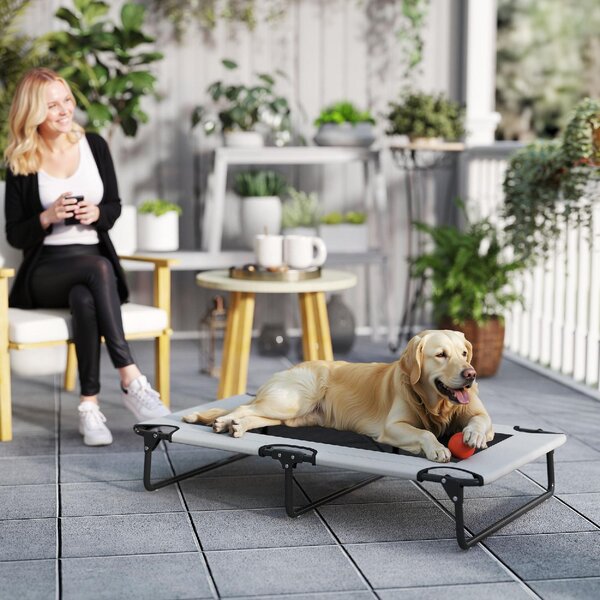 AllMyPets Letto per Cani Grandi Pieghevole con Tessuto a Rete da Interno ed Esterno 107x61x20 cm colore Grigio Chiaro - F891LG