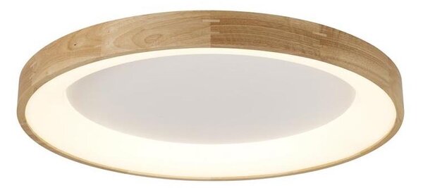 Azzardo AZ2698 - Plafoniera LED da soffitto SILVAM/50W/230V
