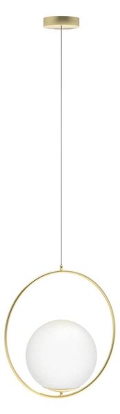 Azzardo AZ4983 - Lampadario a sospensione con filo JUMBO 1xG9/50W/230V oro