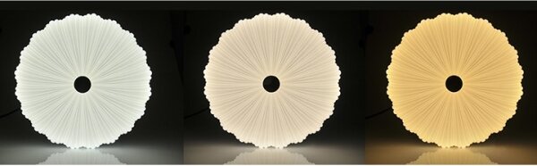 Plafoniera LED dimmerabile FLOWER LED/36W/230V + T