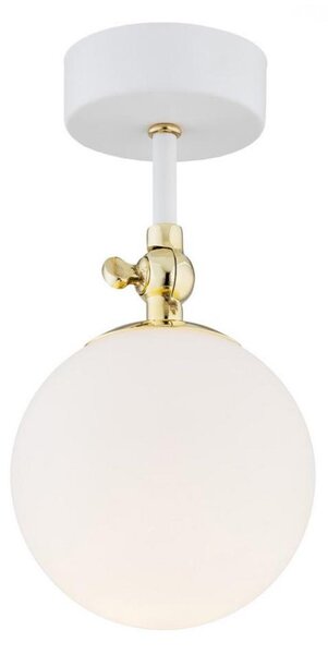 Argon 4002 - Plafoniera da bagno a montaggio superficiale LATINA 1xE14/7W/230V IP44 bianco/oro