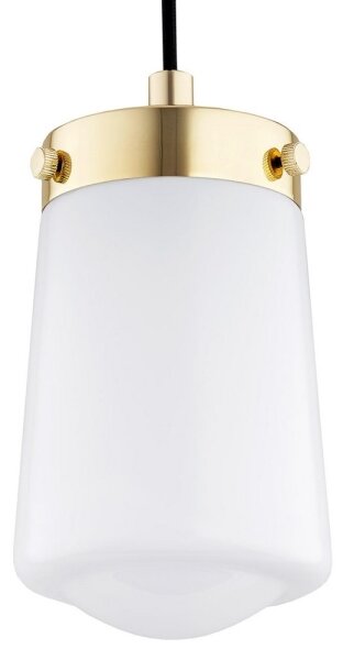 Argon 8004 - Lampadario a sospensione con filo PASADENA 1xE27/15W/230V oro/bianco