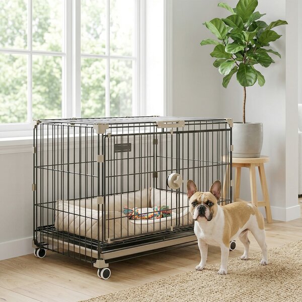 PawHut Gabbia cane pieghevole con ruote e vassoio, 60,5x45,5x54,5 cm, Nero | Aosom Italy