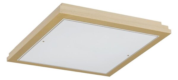 Argon 7146 - Plafoniera CASERTA 2xE27/15W/230V 32x32 cm