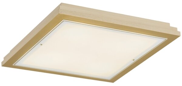 Argon 7146 - Plafoniera CASERTA 2xE27/15W/230V 32x32 cm