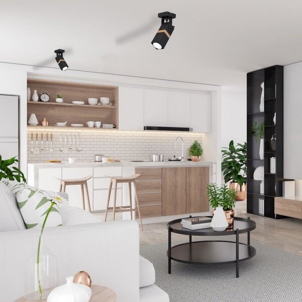 Luce Spot VIDAR 1xGU10/25W/230V nero