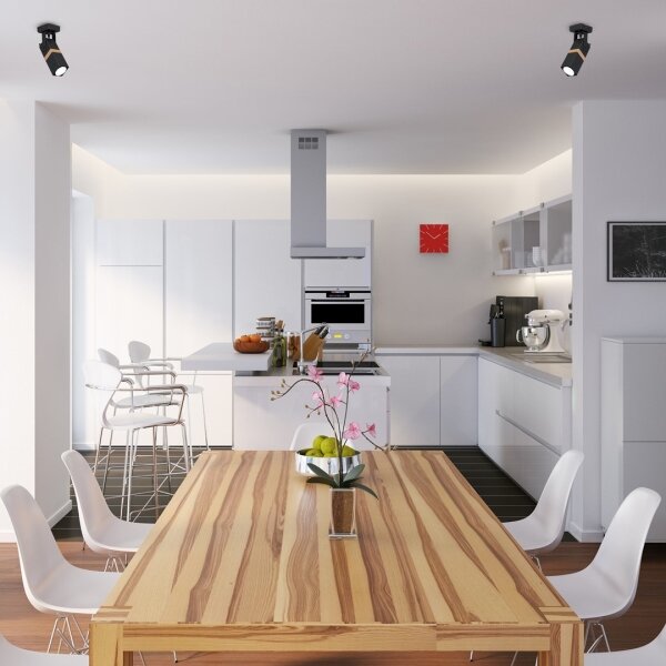 Luce Spot VIDAR 1xGU10/25W/230V nero
