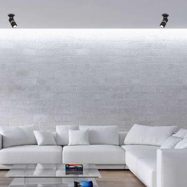 Luce Spot VIDAR 1xGU10/25W/230V nero