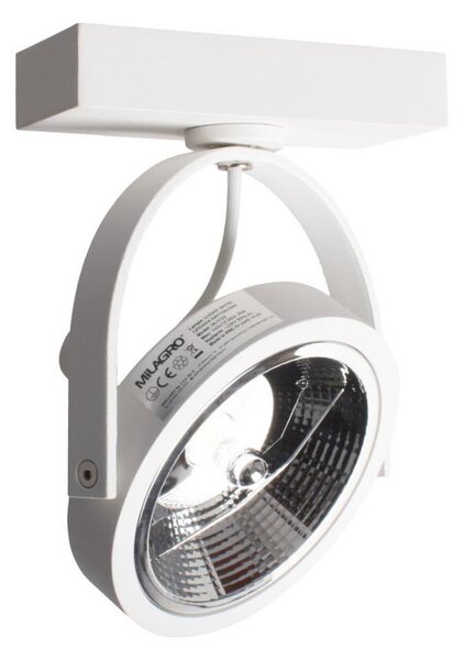Luce Spot da parete a LED LUGAR 1xAR111 - GU10/25W/230V