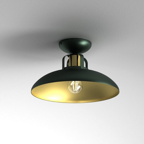 Lampadario a plafone FELIX 1xE27/60W/230V verde