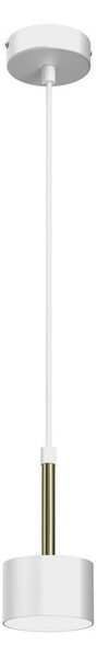 Lampadario su corda ARENA 1xGX53/11W/230V bianco/oro