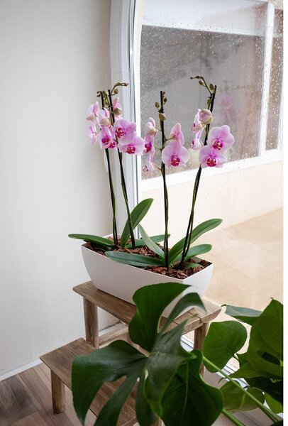 Fioriera in plastica riciclata 30 cm Siena – Artevasi