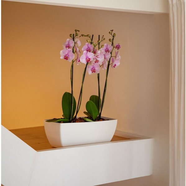 Fioriera in plastica riciclata 30 cm Siena – Artevasi