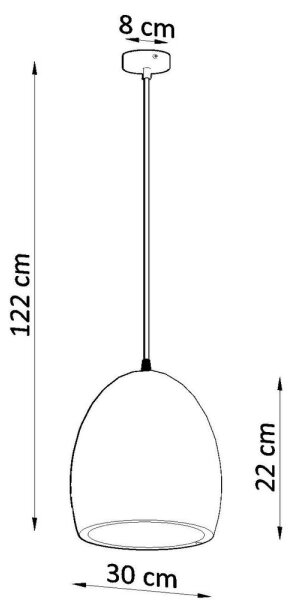 Lampadario su filo FLAWIUSZ 1xE27/60W/230V