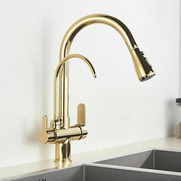 Miscelatore da cucina – Miscelatore estraibile per lavello – Filtro per l'acqua – Girevole a 360° – Montaggio monoblocco con 2 manopole – Ottone – Acqua calda/fredda – Finitura dorata spazzolata