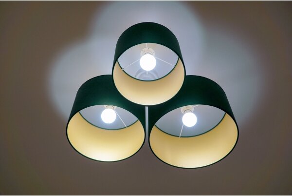 Duolla - Plafoniera ROLLER TRIO 3xE27/60W/230V verde/oro