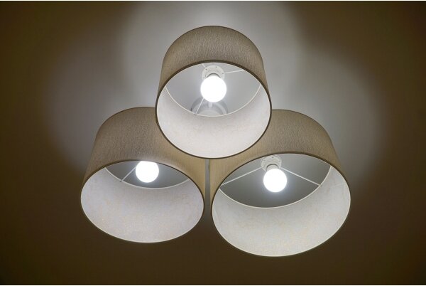 Duolla - Plafoniera ROLLER TRIO 3xE27/60W/230V bianco/oro