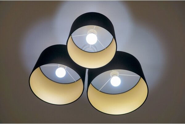 Duolla - Plafoniera ROLLER TRIO 3xE27/60W/230V nero/oro