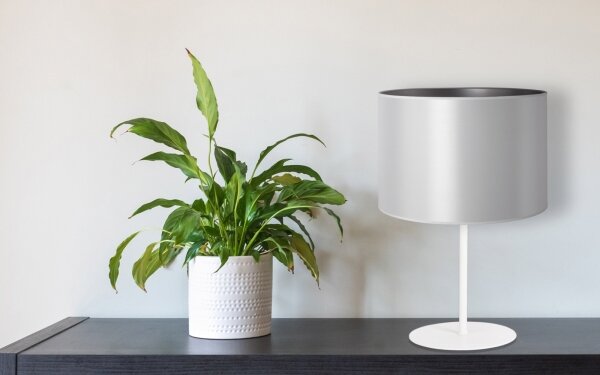 Duolla - Lampada da tavolo CANNES 1xE14/15W/230V diametro 20 cm argento/bianco
