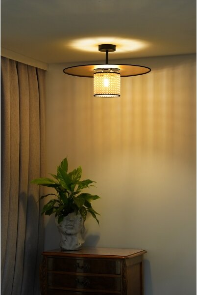 Duolla - Lampadario a plafone TOKYO RATTAN 1xE27/15W/230V diametro 50 cm oro/rattan