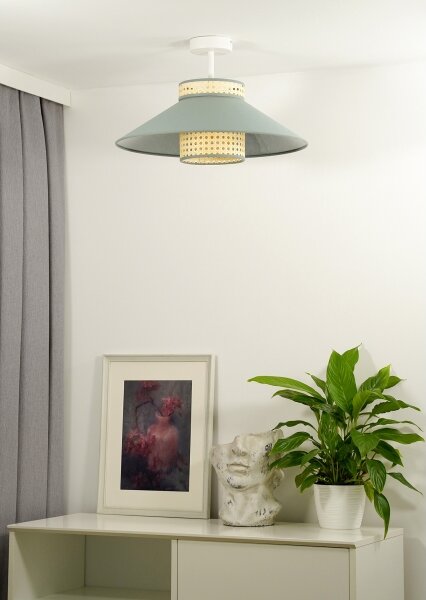 Duolla - Lampadario a plafone RIO RATTAN 1xE27/15W/230V diametro 45 cm verde/rattan