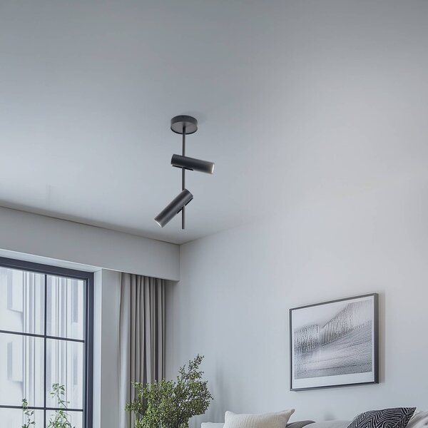 Faretto da soffitto Leda 2, antracite, a 2 luci, acciaio, altezza 55 cm SIGMA, dimmerabile, Nero, Soggiorno / Sala da pranzo, Metallo, Moderno, Faretto