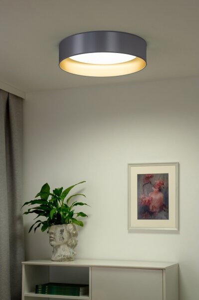 Duolla - Plafoniera LED ROLLER LED/24W/230V diametro 45 cm argento/oro