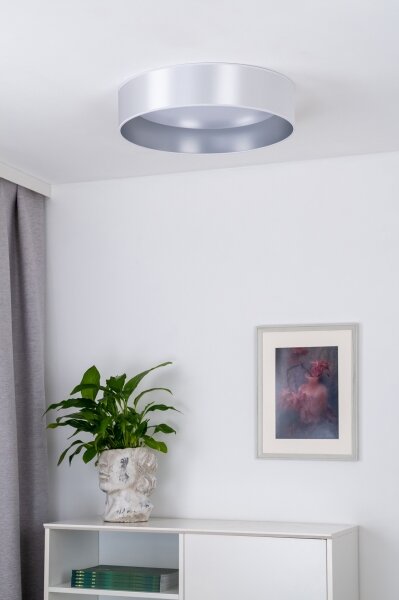 Duolla - Plafoniera LED ROLLER LED/24W/230V diametro 45 cm argento