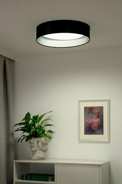 Duolla - Plafoniera LED ROLLER LED/24W/230V diametro 45 cm nero/argento