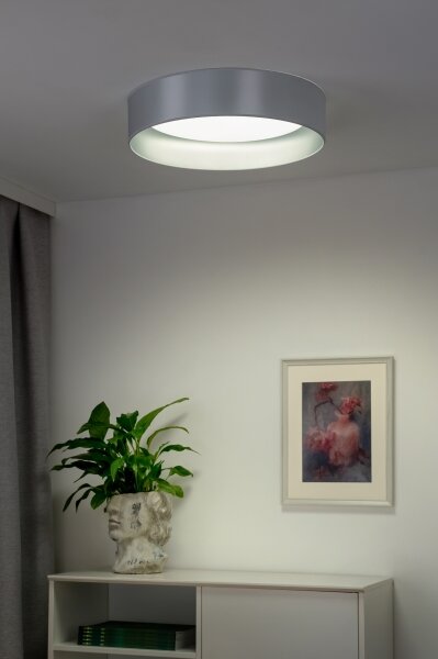 Duolla - Plafoniera LED ROLLER LED/24W/230V diametro 45 cm argento