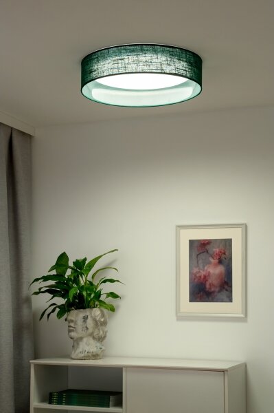 Duolla - Plafoniera LED ROLLER LED/24W/230V diametro 45 cm verde