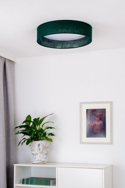 Duolla - Plafoniera LED ROLLER LED/24W/230V diametro 45 cm verde
