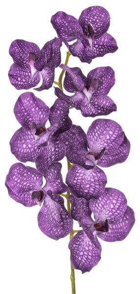 2 Orchidea Artificiali Vanda Altezza 100 cm Blu