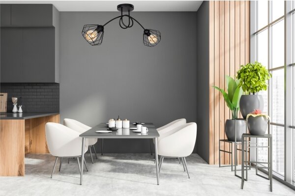 Lampadario a plafone CEED 2xE27/60W/230V