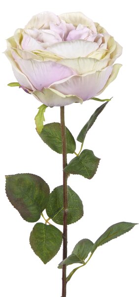 2 Rose Artificiali Cabbage Altezza 49 cm Viola