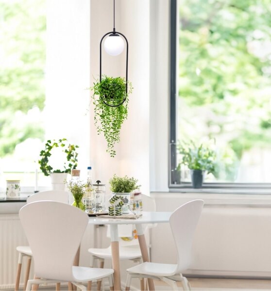 Zuma Line 5003 - Lampadario a sospensione con filo PLANT 1xE14/40W/230V nero