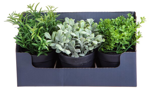 Tre Mini Piante Aromatiche Artificiali in Vaso assortite Altezza 20 cm Verde