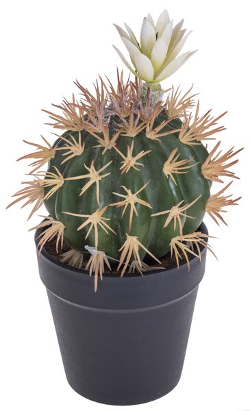 2 Cactus Artificiale con Fiori in Vaso Altezza 19 cm