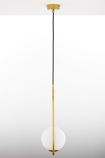 Jupiter 2042 - Lampadario a sospensione con filo IGON 1xE14/40W/230V oro