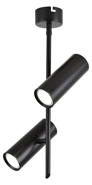 Luce Spot LED TUBA 2xLED/10W/230V nero