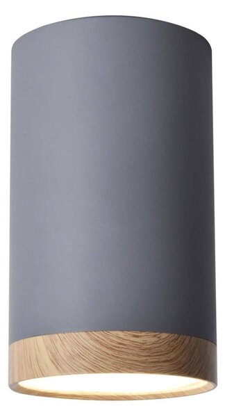 Plafoniera LED TUBA LED/9W/230V
