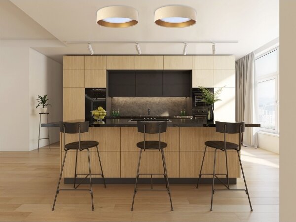 Plafoniera LED dimmerabile SMART GALAXY LED/24W/230V beige/oro + tc