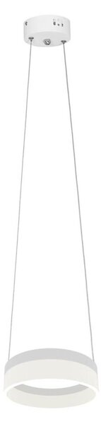 Lampadario LED a sospensione con filo RING LED/12W/230V