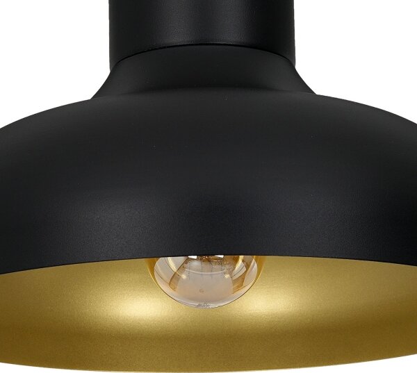 Lampadario a plafone BASCA 1xE27/60W/230V