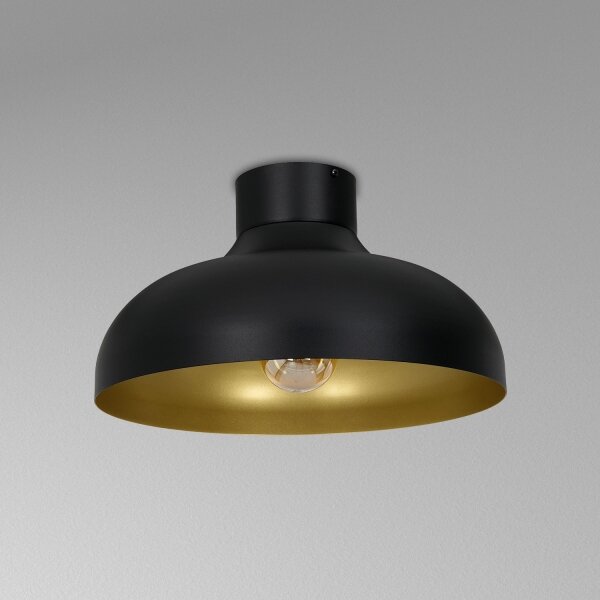 Lampadario a plafone BASCA 1xE27/60W/230V