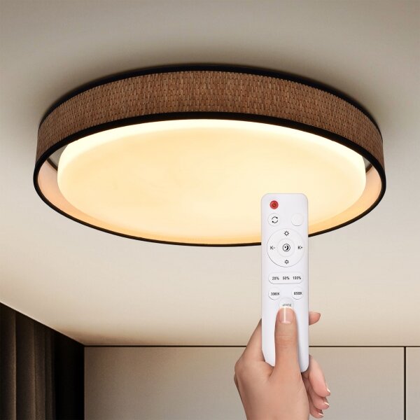 Brilagi - Lampada da soffitto dimmerabile PILAR LED/48W/230V 3000-6500K + DO