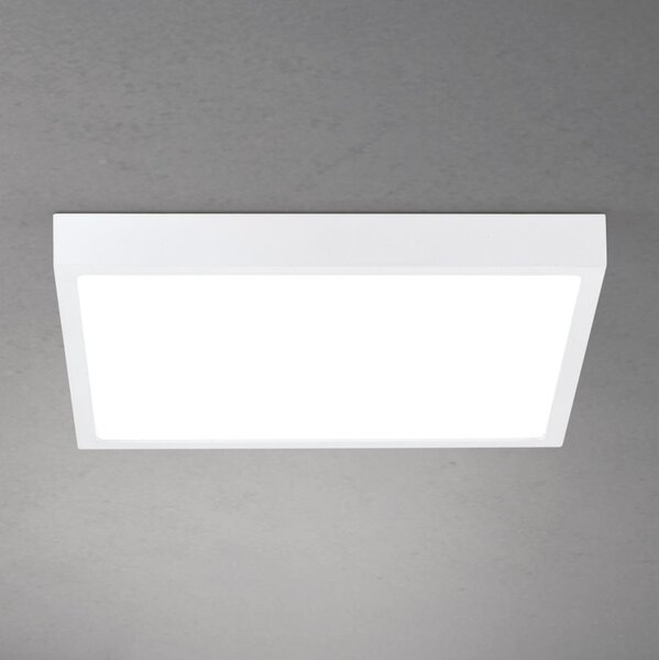 Orion - Plafoniera LED dimmerabile DISC LED/30W/230V 2700/3000/4000K 39x39 cm bianca